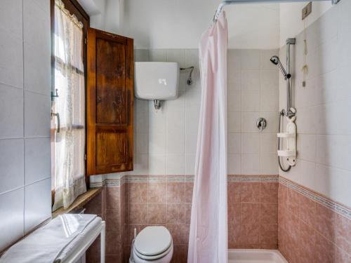 a bathroom with a shower with a toilet and a sink at Mansion in Citerna with Pool & Garden in Citerna