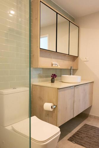 a bathroom with a toilet and a sink and a mirror at 104 - Suva City Views Oceanfront Backyard in Suva
