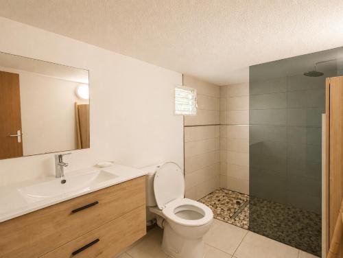 a bathroom with a toilet and a sink and a shower at Le Palmier Bleu, Spacious Duplex with Pool in Schœlcher