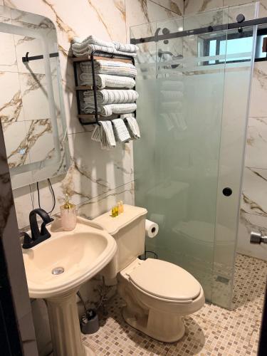 a bathroom with a toilet and a sink and a shower at Las Minervas in Monterrey