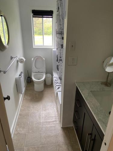 a bathroom with a toilet and a sink and a window at maison chez René in Saint-Malachie