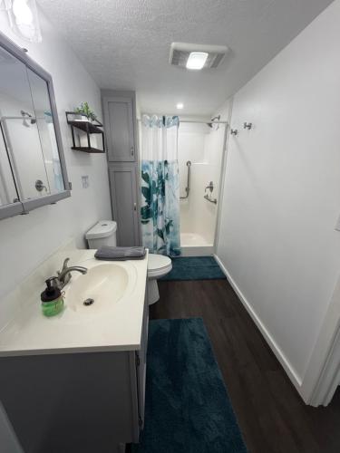 a bathroom with a sink and a toilet and a shower at Cozy Creek Retreat in Waterford
