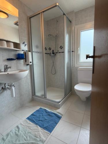 a bathroom with a shower and a toilet and a sink at Le Central - Chambres d'hôte in Grône