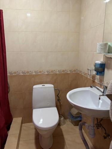 a bathroom with a toilet and a sink at Cottages on Polyova in Zgorany