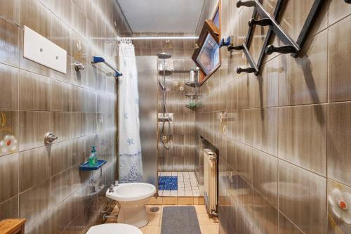 a bathroom with a toilet and a shower at La Pennica bnb in Pontremoli
