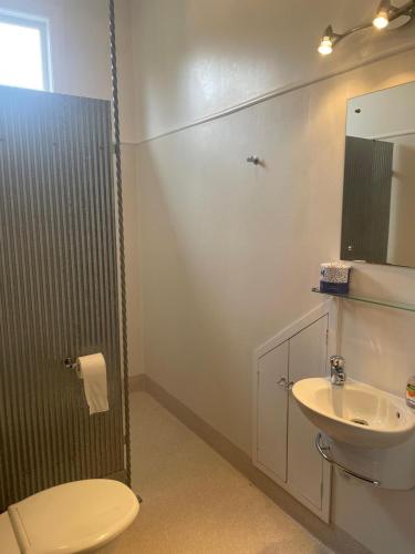 a bathroom with a toilet and a sink at Central Otago Hydeaway in Hyde