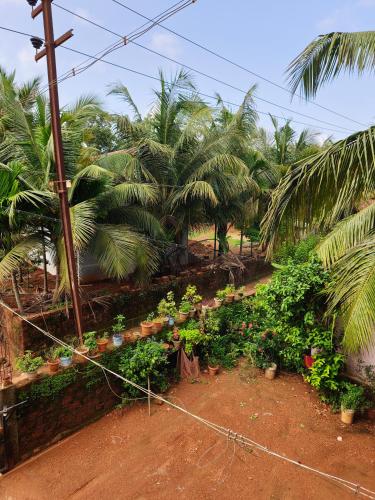 a garden with plants and palm trees in a field at Alpha Homestay in Kāsarkod