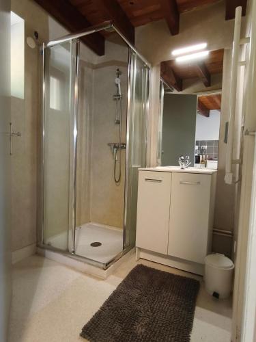 a bathroom with a shower with a toilet and a sink at Gite la Borie de Pourtou Santoire in Condat