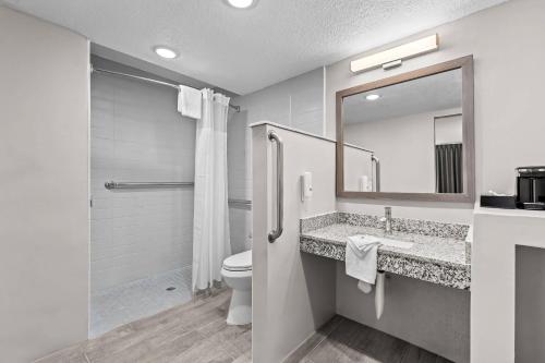 a bathroom with a toilet and a sink and a mirror at Quality Inn & Suites Ocala I-75 in Ocala