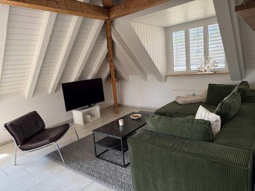 Lake Zurich Attic with Parking and View