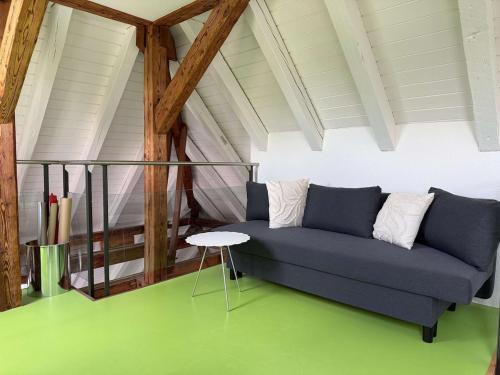 Lake Zurich Attic with Parking and View