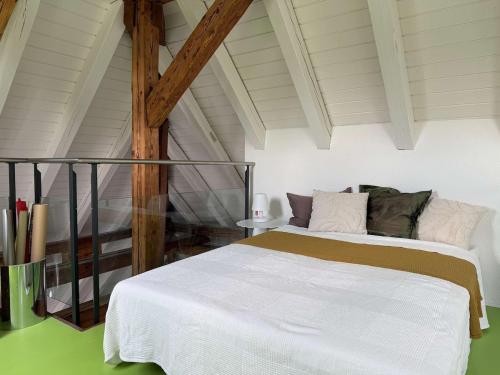 Lake Zurich Attic with Parking and View