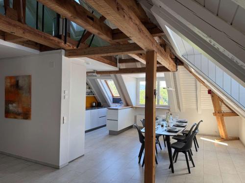 Lake Zurich Attic with Parking and View