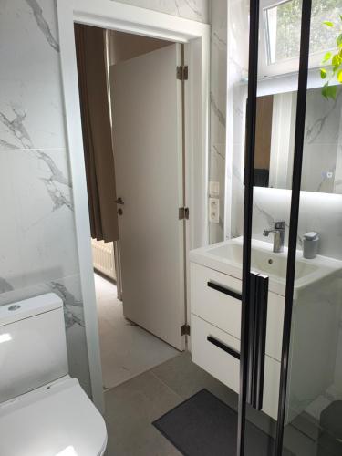a bathroom with a white toilet and a sink at The nest in Malmedy
