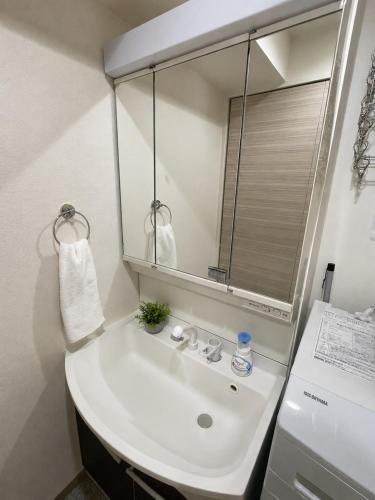 a bathroom with a sink and a mirror at O2 capsule house OTARU in Otaru