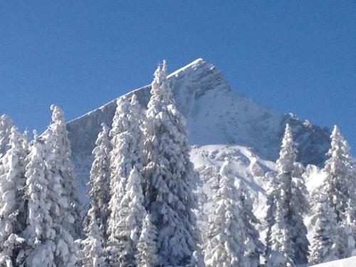 a snow covered mountain with trees in the foreground at Ferienappartment Zürker in Garmisch-Partenkirchen