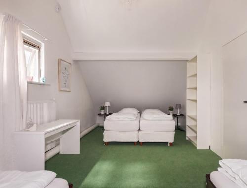 a bedroom with two beds and a green carpet at The Mansion in Wijnjewoude
