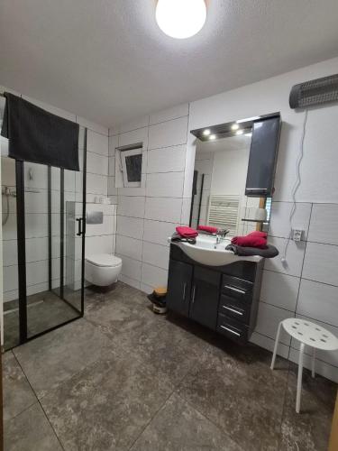 a bathroom with a sink and a toilet and a mirror at Neu!!! Pension Scherz-ruhig am Standrand mit Wasserzugang & Paddelboot in Lübbenau
