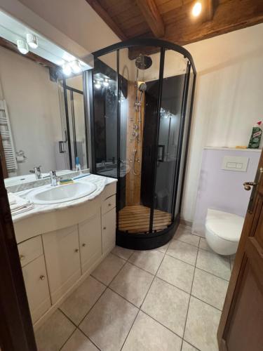 a bathroom with a shower with a sink and a toilet at Chambres à la Ferme de Pouzatel proche Bonaguil in Fumel