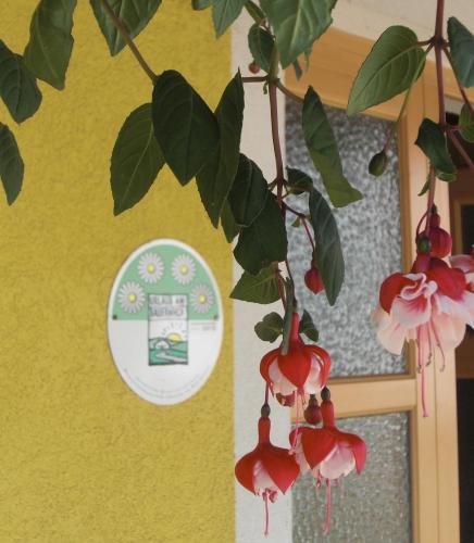 a plant with red flowers hanging from a wall at am Jaukhof Familie Stiendl in Neudorf im Sausal
