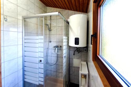 a shower with a glass door in a bathroom at Ferienbungalow Seeluft in Loddin