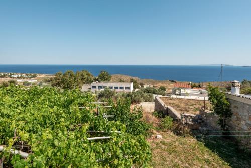 a view of the ocean from a vineyard at Tholos Home Sfakia in Hora Sfakion