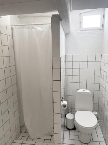 a white bathroom with a toilet and a window at Lundsgaard Gods ferielejlighed in Kerteminde