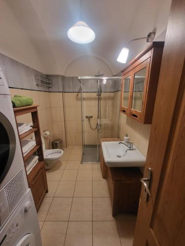 a bathroom with a shower and a sink and a toilet at ubytovaní na statku 