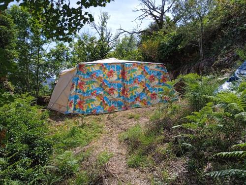 a tent sitting on the side of a hill at La GéoYourte in Saint-Vincent