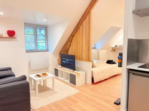 a living room with a couch and a television at Jacuzzi privé - Netflix - Wi-Fi - parking gratuit in Châtel-Guyon