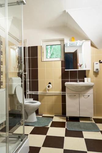 a bathroom with a toilet and a sink and a mirror at Casa Sofisa in Fundata
