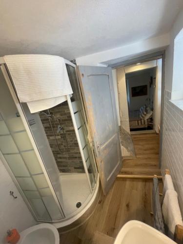 a bathroom with a shower and a toilet in a room at Alle Fucine in Mallare