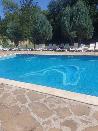 a swimming pool with a dolphin in the water at Хотел Галина Палас in Srem