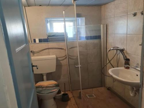 a small bathroom with a toilet and a sink at Gemütlicher Rustikaler Bauwagen in Vippachedelhausen
