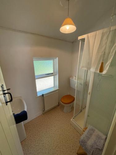 a bathroom with a shower and a toilet and a window at Ardtarmon House in Sligo