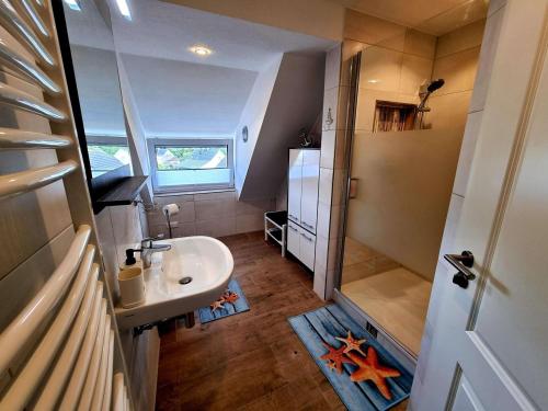 a small bathroom with a sink and a shower at Ferienwohnung Brunnenaue in Sagard
