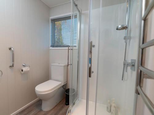 a bathroom with a toilet and a glass shower at Arrowtown Gold - Elevated Two Bedroom Apartment in Arrowtown