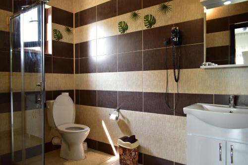 a bathroom with a shower and a toilet and a sink at Pensiunea Casa Nușa in Baia de Fier