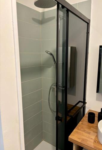 a shower with a glass door in a bathroom at La Halte Beaujolaise in Belleville-en-Beaujolais