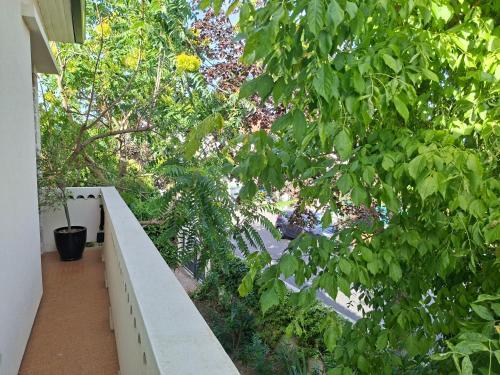 ESCALE - Grand T3 calme - Terrasse - Parking
