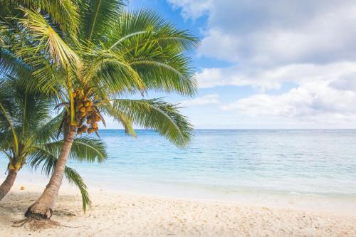 a palm tree on a beach with the ocean at Pae Moana, Rarotonga in Rarotonga