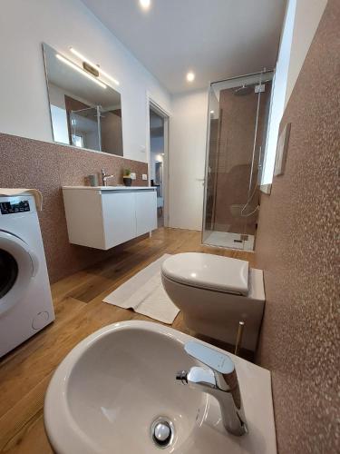 a bathroom with a sink and a toilet at Appartamento ZUFALL in Cogolo