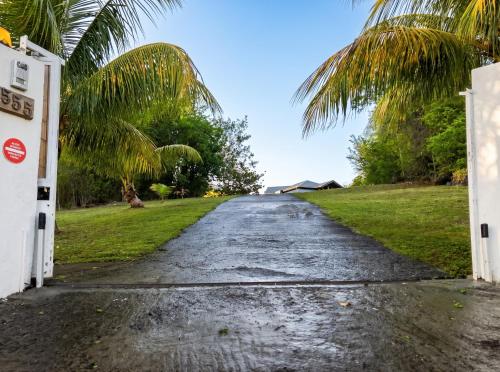 a wet road with palm trees on the side at Maison conviviale à Deshaies avec piscine partagée 120 m² in Deshaies