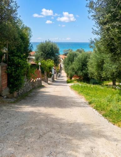 a road leading to the ocean on a sunny day at Charming Apartment in Pisciotta with Terrace and Parking in Pisciotta