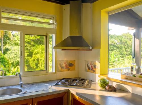 a kitchen with a stove and a sink and two windows at Appartement charmant à Lamentin avec piscine partagée in Lamentin
