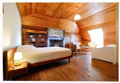 a bedroom with a bed and a fireplace at Maison confortable avec vue sur la montagne à Le Fau in Le Fau