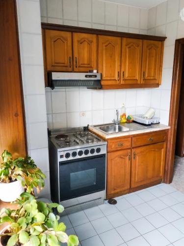 a kitchen with a stove and a sink at Spacious Apartment in Espinho with Fireplace, 87 sqm in Espinho