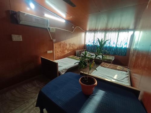 a room with two beds and a potted plant on a table at Terrace Camp inn in Tiruchirappalli