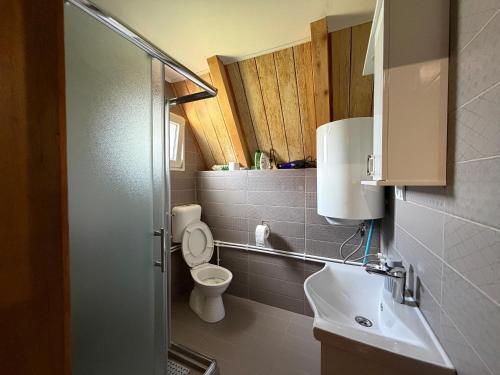 a small bathroom with a toilet and a sink at Soko Guest House in Žabljak