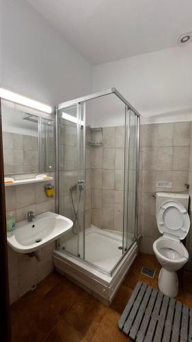 a bathroom with a shower and a toilet and a sink at Vila Crinilor Căciulata in Căciulata